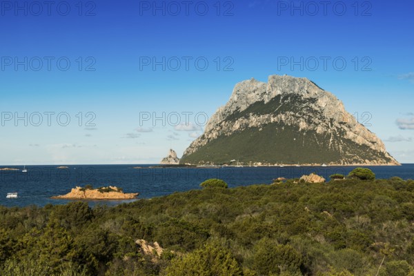 Isola di Tavolara, Porto San Paolo, Sardinia, Italy, Europe
