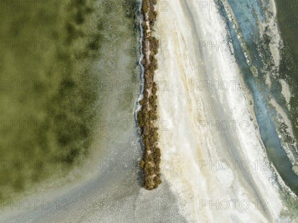Salt marshes near Sanlúcar de Barrameda. Aerial view. Drone shot. Cádiz province, Andalusia, Spain,