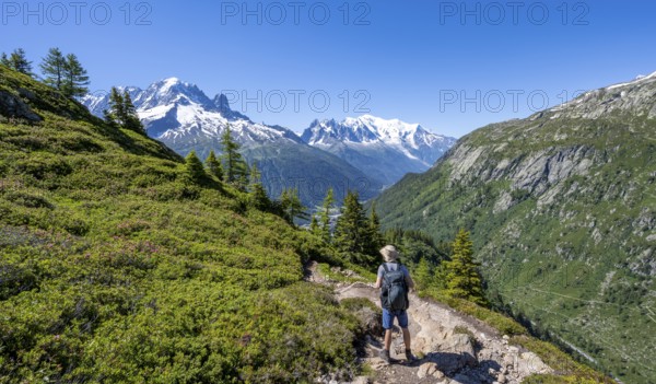 Mountaineer on hiking trail, mountain panorama with glaciated mountain peaks, Aiguille Verte with