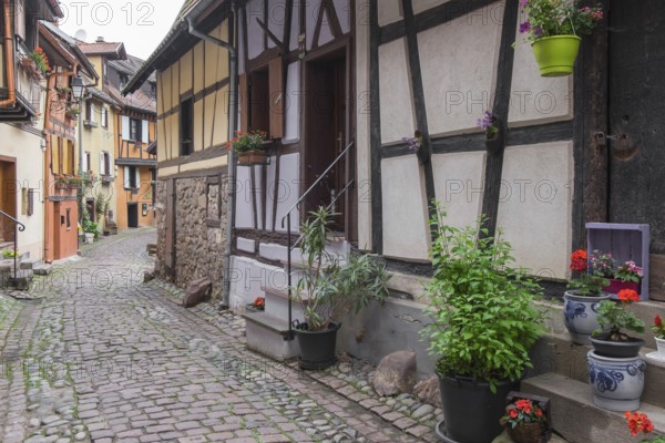 A narrow alleyway lined with traditional houses with plants and red flowers, Eguisheim, Plus beaux