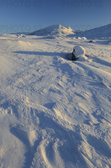 Snowy mountain landscape, evening light, sunny, snow drifts, wind, Björnfjell, Norway, Europe