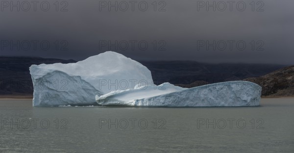 Floating iceberg, Scoresbysund or Kangertittivaq in Greenlandic, the largest and longest fjord