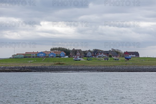 Hallig Hooge, North Frisia, Schleswig-Holstein, Germany, Europe