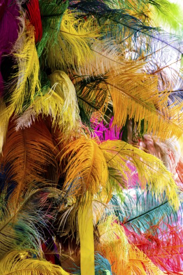 Various colorful feathers and plumes that will be used in the making of carnival costumes in Brazil