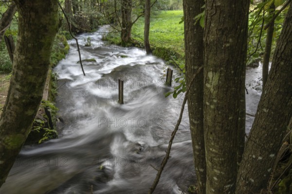 Rapids of the Trubach, Trubach Valley, Egloffstein, Upper Franconia, Bavaria, Germany, Europe
