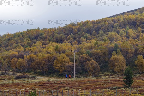 Hilly landscape with colourful autumn forests and two people in the distance, pilgrimage route,