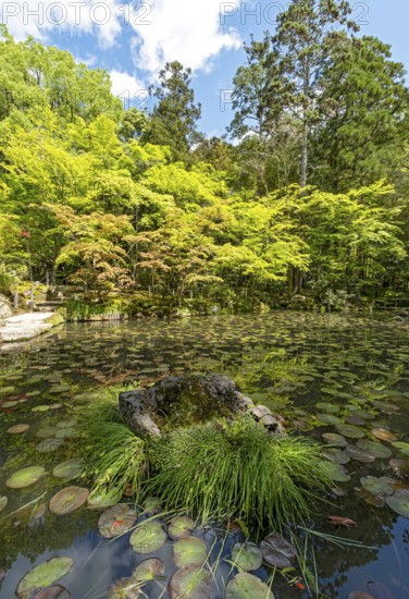 Tenjuan Garden, Nanzen-ji temple complex, Kyoto, Japan, Asia