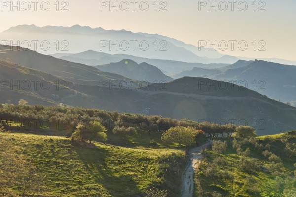 Hilly spring landscape with trees against the light in the late afternoon, mountains in the