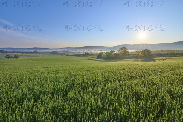 A picturesque sunrise over a wide green field and a gentle hilly landscape, Mönchberg, Mltenberg,