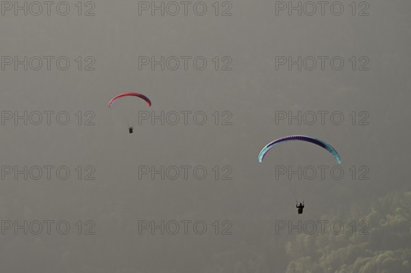 Two paragliders flying over the forest, Alsace, France, Europe