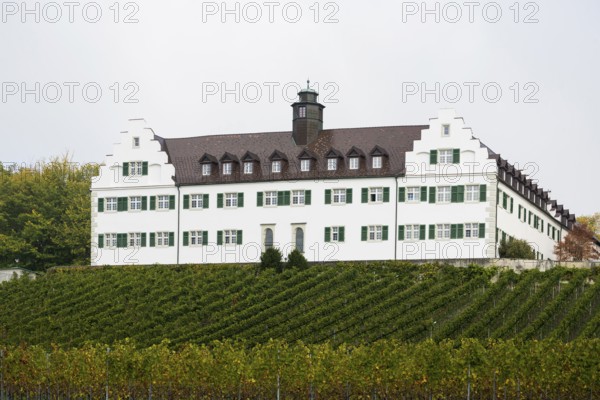 Hersberg Castle with vineyard, Immenstaad, Lake Constance, Baden-Württemberg, Germany, Europe