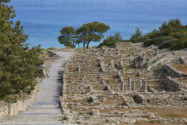 Ancient ruins along a stony path with trees and sea in the background, Hellenistic houses, Kamiros,