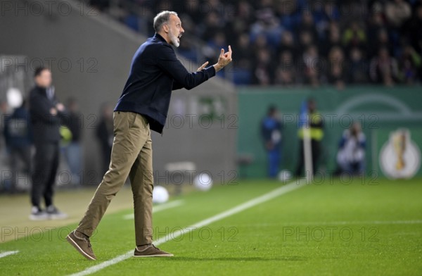 Coach Coach Pellegrino Matarazzo TSG 1899 Hoffenheim on the sidelines Gesture gesture behind Coach