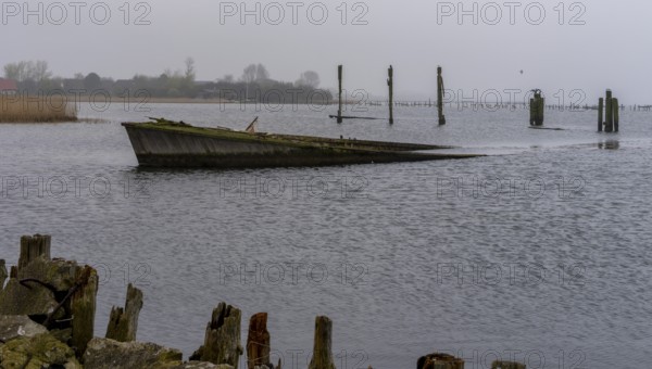 Ship's bow in the Bodden, Dranske, Rügen, Mecklenburg-Western Pomerania, Germany, Europe