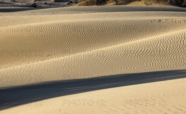 Maspalomas Dunes nature reserve, sand dunes in the evening light, Las Palmas province, Gran