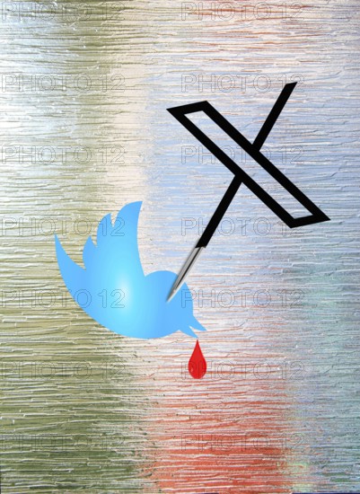 Symbol image, Network-X stabs Twitter, Elon Musk, Socialmedia, Hate speech, Free speech, Glamour