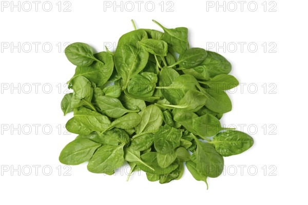 A pile of fresh spinach leaves on a clean white background, ready for use in salads, smoothies, or