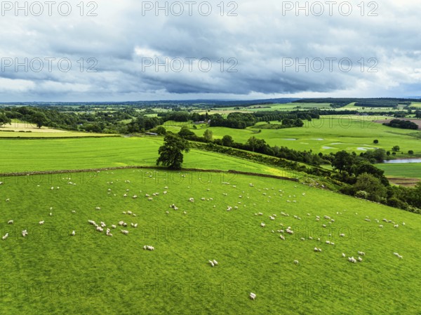Farms and Fields over River Eden and River Eamont from a drone, Cumbria, England, United Kingdom,