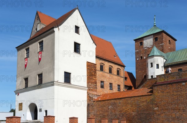 Medieval castle with red-tiled roofs and towers under a clear blue sky, museum, residential castle