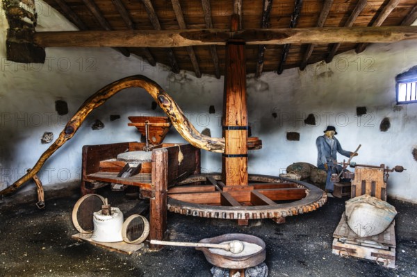2016, Raimund Franken, Model Release:Not, Property Release: Not Tiagua, Lanzarote, Farm Museum El