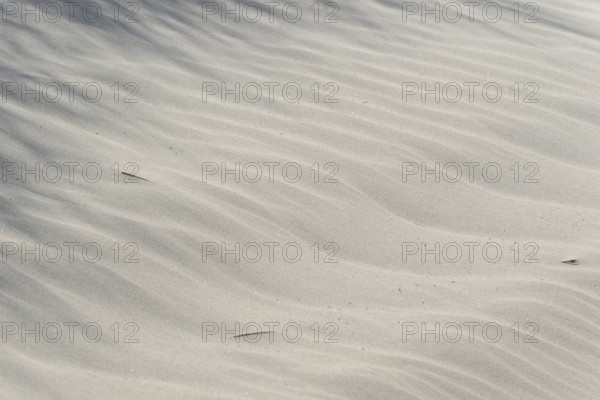 Sand drifts, wave structures in light-coloured sand, background image, North Sea, Juist, East