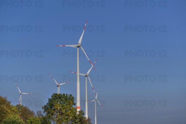 Wind turbines, blue sky, Schönberg, Mecklenburg-Western Pomerania, Germany, Europe