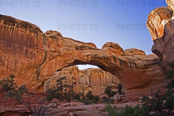 Capitol Reef NP, Utah, USA, Capitol Reef NP, Utah, USA, North America