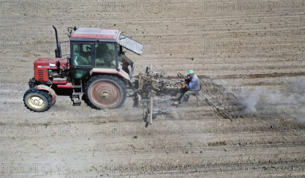 Tractor dragging a plume of dust behind it while working a potato field, Münchenberge, 20/05/2020
