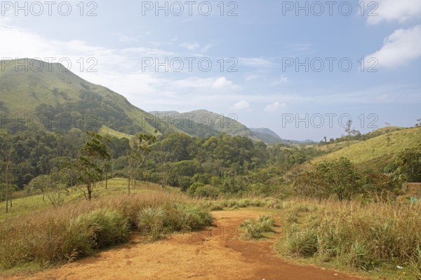 Landscape and red earth in Periyar Wildlife Sanctuary or Periyar National Park, Idukki district,