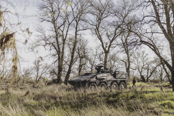 Armoured Boxer transport vehicle of the German Armed Forces stands in a forest on the Elbe as part