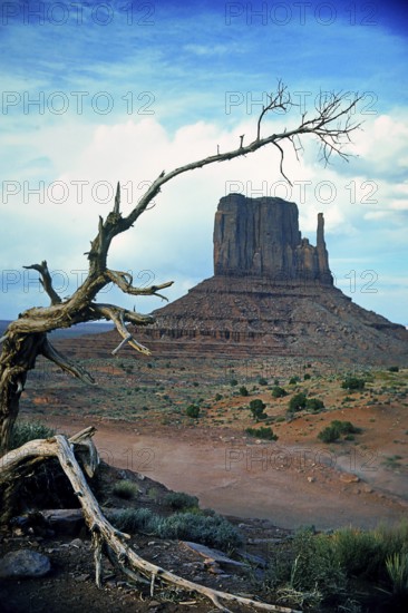 Monument Valley, Navajo Land, Colorado Plateau, under Navajo administration, Utah, USA, North