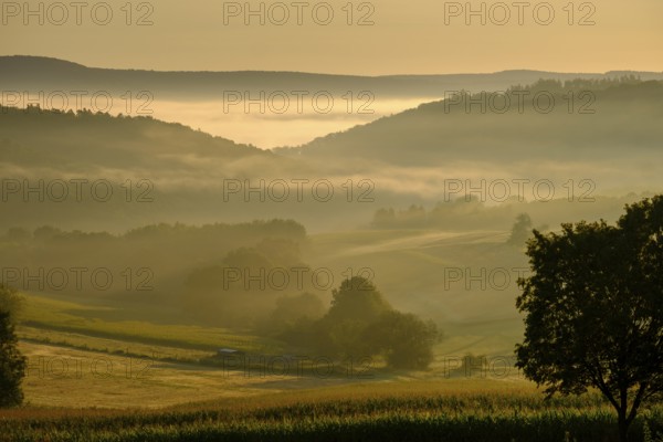 Morning fog over the Werra valley, Weißenborn near Eschwege, Werra-Meißner district, Werra valley,