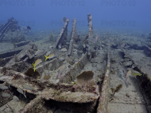 Wreck of the Benwood. Dive site John Pennekamp Coral Reef State Park, Key Largo, Florida Keys,