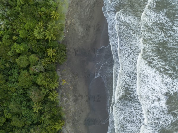 Top-down, aerial view, beach and sea, coast with rainforest, Tortuguero National Park, Costa Rica,