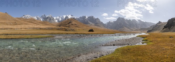 Mountain landscape with yellow meadows, Kol Suu River and mountain peaks with glaciers, Keltan