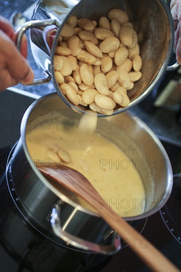 Swabian cuisine, preparation of broad beans with yeast dumplings, broad beans, horse beans, fava