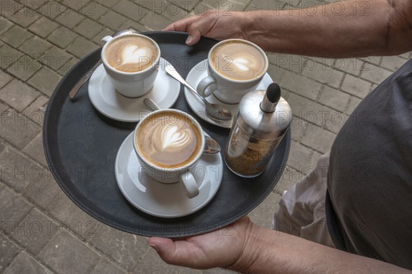 Waiter brings three cappuccinos on a tray to the guest, Bavaria, Germany, Europe