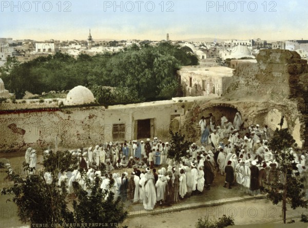 Snake charmer, Tunis, Tunisia, c. 1895, Historic, digitally restored reproduction from a 19th