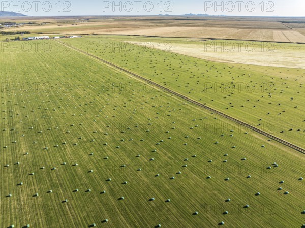 Meadow full of colored hay bales, aerial view, southern coast, Iceland, Europe