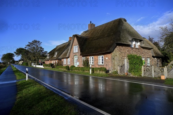 Thatched roof house on Junkersmitteldeich, Pellworm Island, Schleswig-Holstein Wadden Sea National