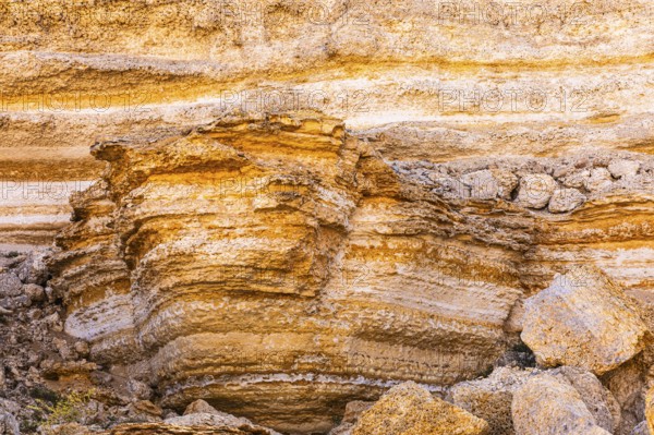 Eroded rock formation on a fossilised reef edge, Huqf stone desert, Arabian Peninsula, Sultanate of