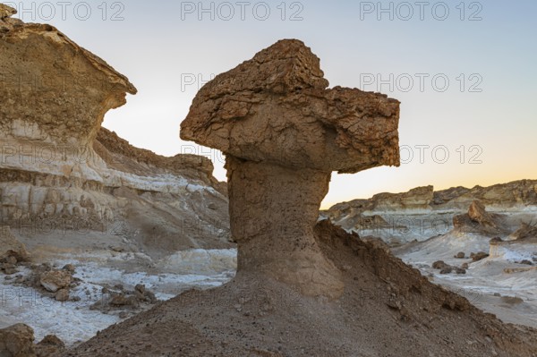 Eroded, mushroom-like rock formations on a fossilised reef edge, Huqf stone desert, Arabian