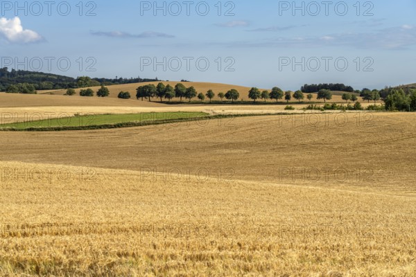 Landscape on the island of Mön, Denmark, Europe