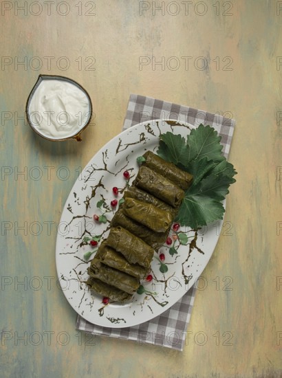 Dolma, cabbage rolls in grape leaves, Traditional Armenian dish, with white sauce, top view,