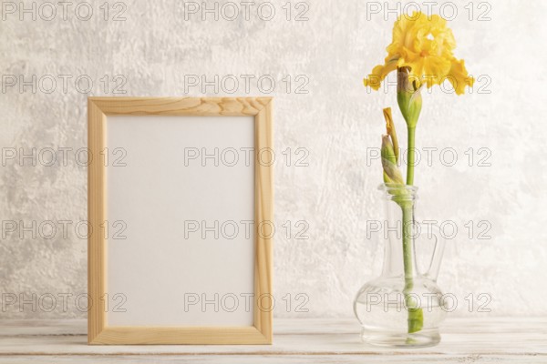 Wooden frame with yellow iris flower in glass on gray concrete background. side view, copy space,