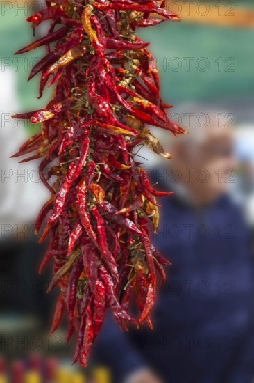 Market stall with dried, threaded chilli peppers, Majorca, Balearic Islands, Spain, Europe