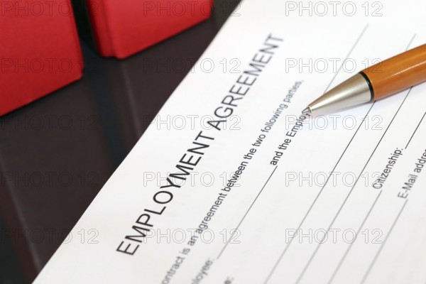 Blank form of an employment contract in English
