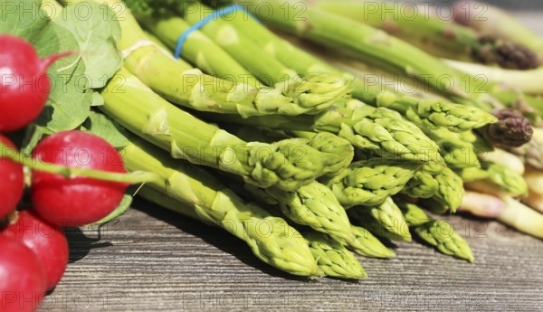 Green asparagus and white asparagus decorated on a rustic wooden table