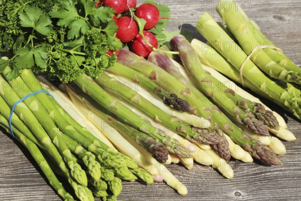 Green asparagus and white asparagus decorated on a rustic wooden table