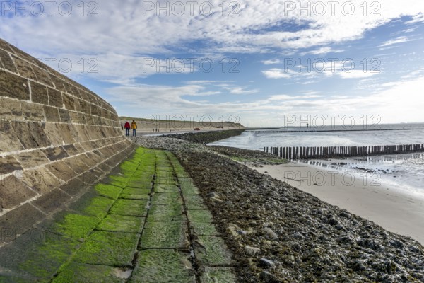 North Sea, Spiekeroog Island, autumn, coastal protection in the west of the island, wall for dune
